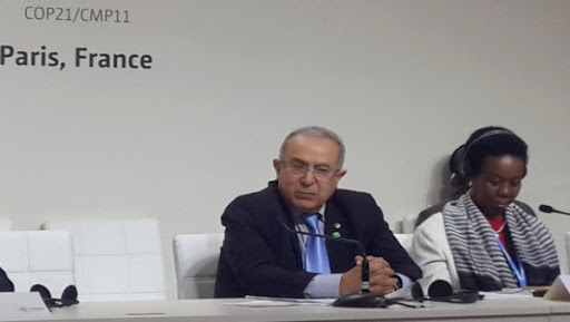 L’Afrique est devenue acteur et artisan du développement durable