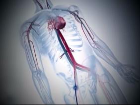 Le CHU de Blida réalise une première implantation de valve sans ouverture du thorax