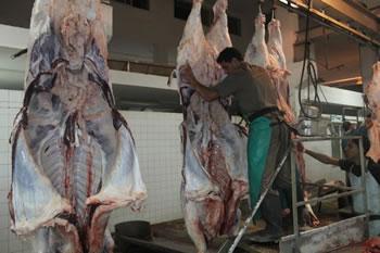 Le complexe d’abattage de hassi bahbah fonctionnel dans quelques semaines 40.000 tonnes de viandes rouges par an sur le marché