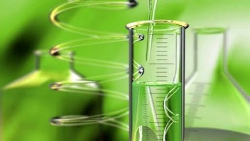 Le développement de la recherche sur les Bio-ressources locales, thème d’un séminaire à Bechar