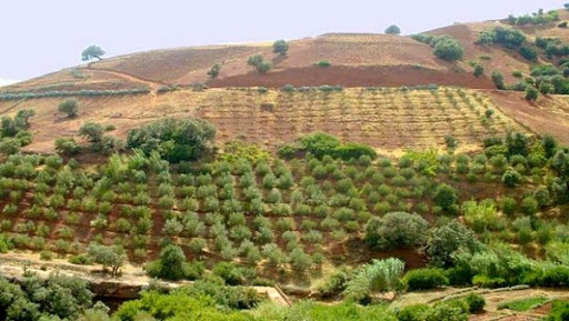 Les zones montagneuses fortement exposées à la dégradation des terres