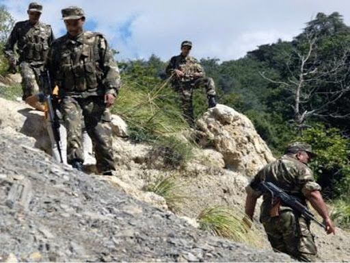 Lutte antiterroriste: Un canon de confection artisanale et deux mines antipersonnel détruits dimanche à Boumerdès