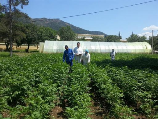Rencontre sur la dynamisation du partenariat dans la recherche en agronomie les 19 et 20 janvier