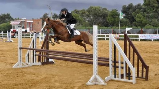Saut d’obstacles: le cavalier Soltani Nacer de Constantine remporte le trophée fédéral à Oran
