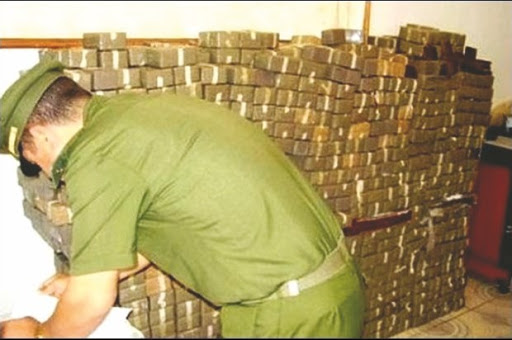 Trafic de drogue à l’ouest 103 tonnes de kif traité saisies en 10 mois