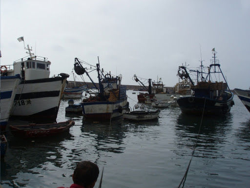 Un atelier de formation sur la conchyliculture et la pisciculture en mer à l’école de pêche de Beni Saf