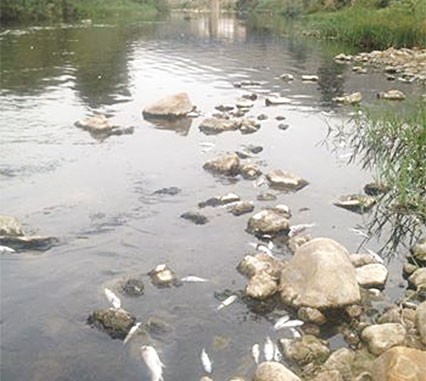 Une année après la catastrophe écologique de l&rsquo;oued Soummam, Le black-out persiste toujours