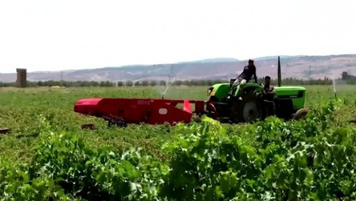 Une superficie irriguée de 143.000 ha en concrétisation à travers le pays