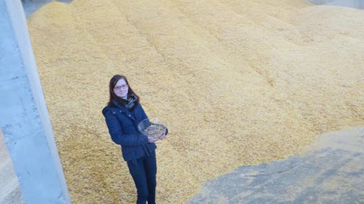 A Messei, leur fibre de Normandie nourrit les vaches d’Algérie