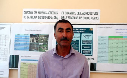 Ahcène Kaci: l’informel participe à 70% de la production avicole