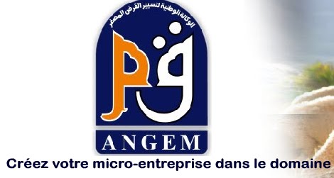 ANGEM : financement de 326 projets d’acquisition du matériel en 2015 à Mostaganem