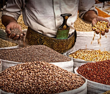 Année internationale des légumineuses : Le plaidoyer de la FAO en faveur des sols