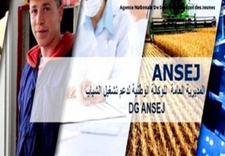 ANSEJ : Plus de 260 micro-entreprises créées en 2015 à Ghardaïa