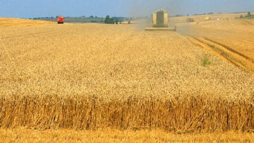 Baisse de près de 20% des prix mondiaux des produits alimentaires en 2015 (FAO)