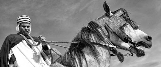 « Cheval, des hommes et des traditions », nouvelle exposition du photographe Nadjib Rahmani