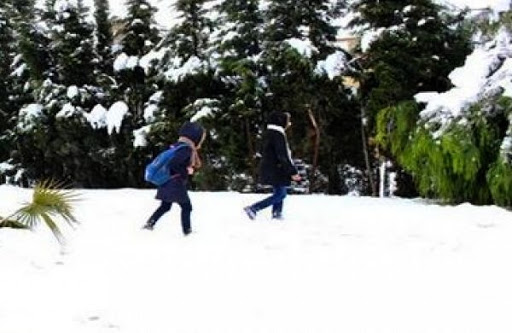 Chutes de neige: 60 écoliers secourus par la Protection civile à Khenchla