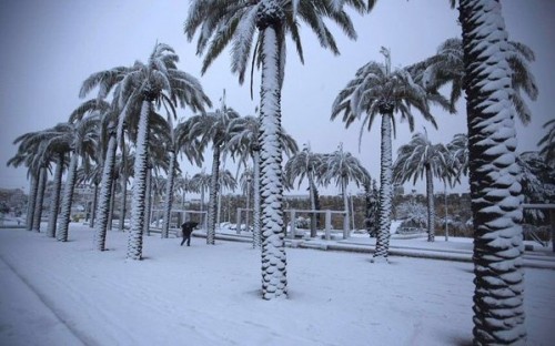 De la neige en Arabie saoudite pour la première fois depuis 85 ans