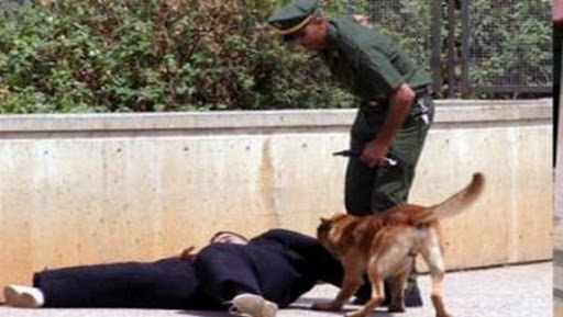 Des chiens entraînés à la détection de drogues dures opérationnels pour la première fois en Algérie