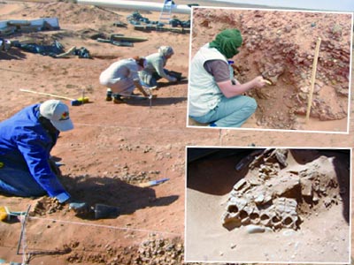 Des dinosaures aux gravures rupestres Le Tidikelt n’a pas encore livré tous ses secrets