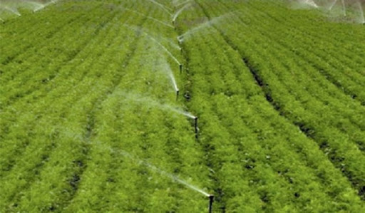 Des efforts satisfaisants en matière d’irrigation des terres agricoles à Oran