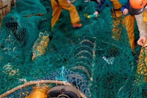 Des ramendeurs aux besoins spécifiques, bientôt dans le port de Boudis, à Jijel