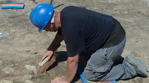 Des vestiges de l’époque romaine découverts à l’est d’Algérie