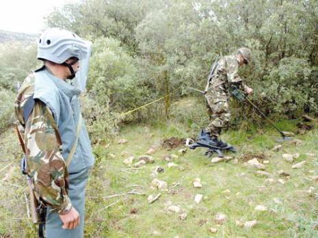 Destruction de 1000080 mines et déminage de 9447,590 hectares de terrain