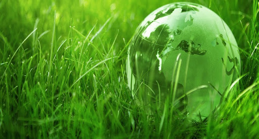 Environnement : Formation des associations vertes