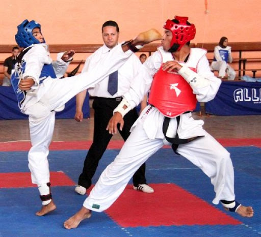 Fédération algérienne de taekwondo : l’AG extraordinaire adopte les nouveaux statuts