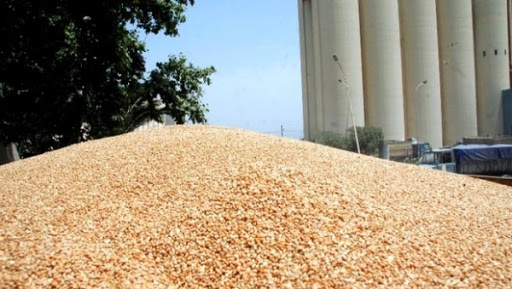 Importations des céréales: légère baisse de la facture et hausse des quantités en 2015