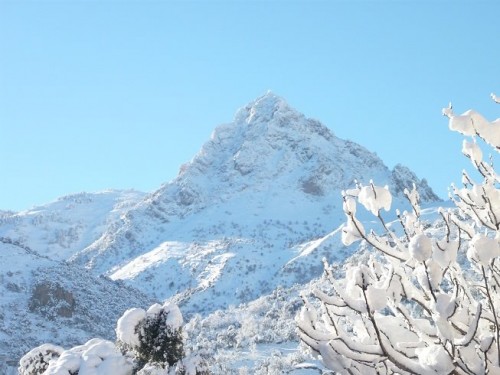 La neige recouvre l’Atlas blidéen et le Djurdjura