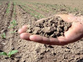 La rareté des précipitations inquiète les agriculteurs