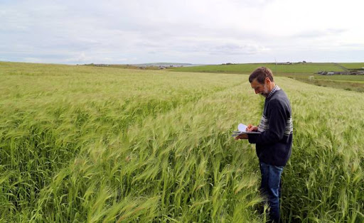 La science au profit de l’agriculture