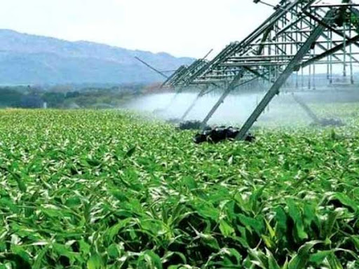 La sécheresse suscite des inquiétudes pour l’agriculture, pas pour l’eau potable