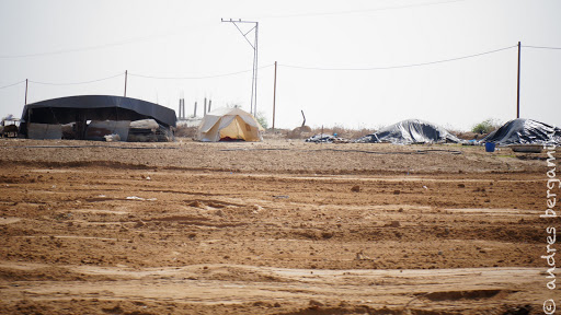 L’armée israélienne empoisonne des terres agricoles à Gaza