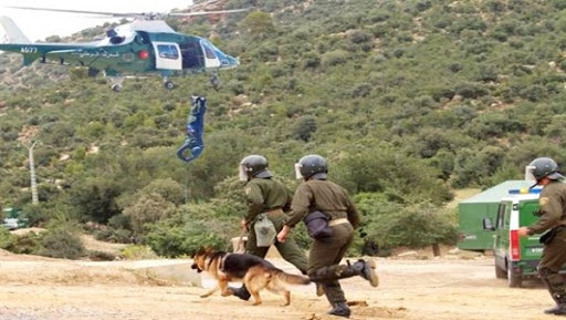 Le général major Nouba insiste sur la bonne préparation et la disponibilité constante des gendarmes