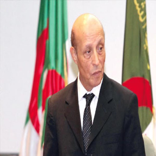 Les défis qui se posent aux pays arabo-africains évoqués à Baghdad (APN)