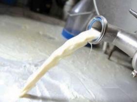 Nette baisse de la facture d&rsquo;importation de lait en 2015
