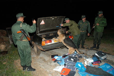 Oran : Utilisation d’une voiture volée pour transporter de la drogue