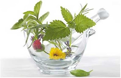 Phytothérapie : Réguler la glycémie par les plantes