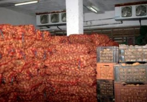 Près de 40.000 tonnes de pomme de terre d’arrière saison stockées à l’échelle nationale