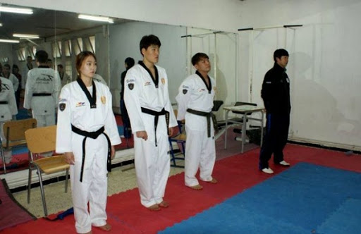 Sport/Formation: « Le taekwondo a un bel avenir en Algérie »