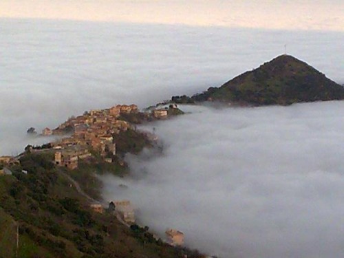 Un tournoi de tirs sportifs au fusil de chasse à Tizi Ouzou