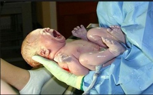 Une ressortissante étrangère avec un faux passeport accouche à l’aéroport d’Alger