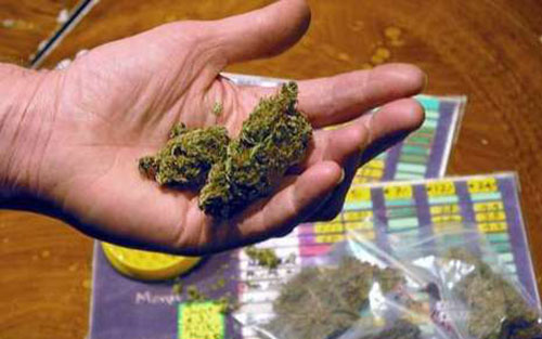 Université de Béjaia : Deux étudiants arrêtés pour trafique de drogue