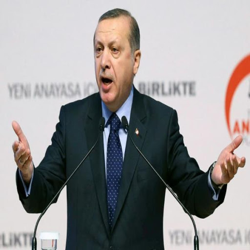 Violation de l&rsquo;espace aérien: Erdogan met en garde Moscou contre des actes « irresponsables »