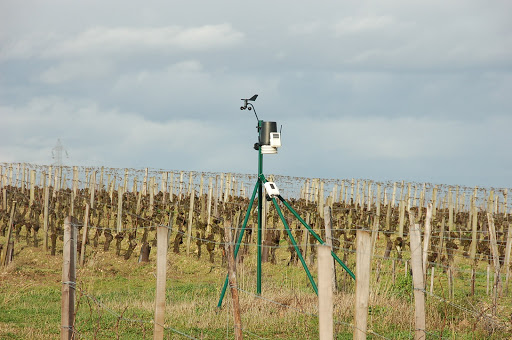 Algérie:Lancement prochain d’une étude d’aménagement du nouveau pôle agricole de Hassiane (Mostaganem)