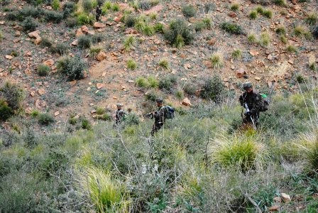 Arrestation d’un terroriste à Skikda