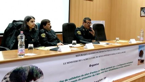 Asseoir une stratégie pour préserver et réhabiliter le pistachier de l&rsquo;Atlas (atelier)