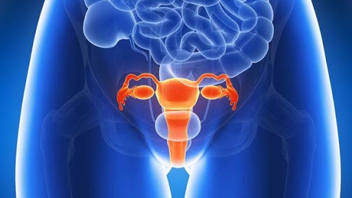 Cancer du col de l&rsquo;utérus : symptômes, causes, traitement, guérison